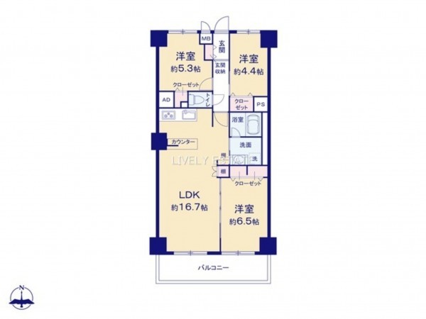 草加市北谷、マンションの間取り画像です