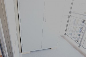 草加市新里町、マンションの収納画像です
