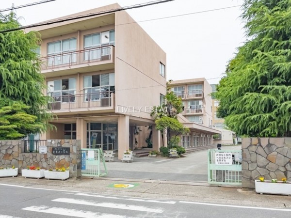 草加市花栗、マンションの小学校画像です