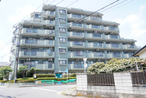 越谷市蒲生南町、マンションの外観画像です