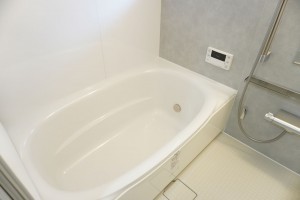 越谷市蒲生南町、マンションの画像です
