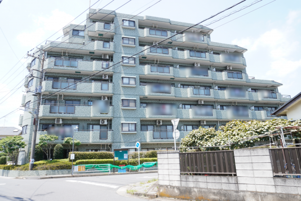越谷市蒲生南町、マンションの外観画像です