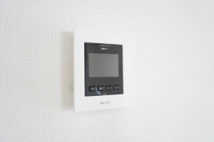 越谷市蒲生、新築一戸建ての画像です