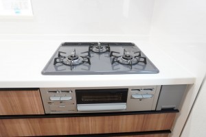 越谷市蒲生、新築一戸建ての画像です