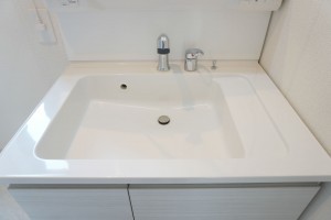 越谷市蒲生、新築一戸建ての画像です