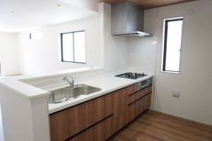 越谷市蒲生、新築一戸建ての画像です