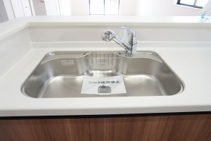越谷市蒲生、新築一戸建ての画像です