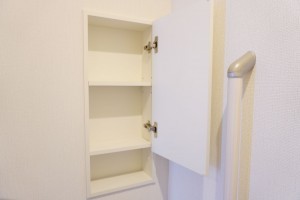 越谷市蒲生、新築一戸建ての画像です