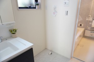 草加市柳島町、新築一戸建ての洗面画像です