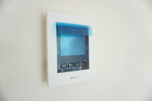 越谷市弥栄町、新築一戸建ての居間画像です