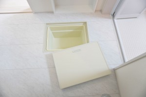 越谷市弥栄町、新築一戸建ての洗面画像です