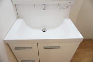 越谷市大字大竹、新築一戸建ての洗面画像です