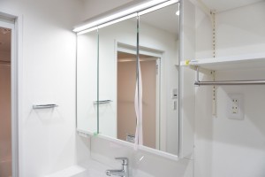 草加市栄町、マンションの洗面画像です