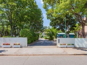 草加市栄町、マンションの中学校画像です