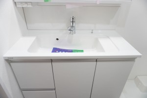 草加市栄町、マンションの洗面画像です