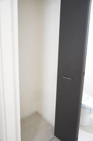 越谷市大字上間久里、新築一戸建ての収納画像です