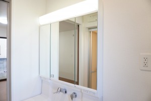 草加市金明町、新築一戸建ての洗面画像です