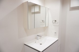 草加市瀬崎、マンションの洗面画像です