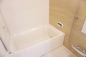草加市瀬崎、マンションの風呂画像です