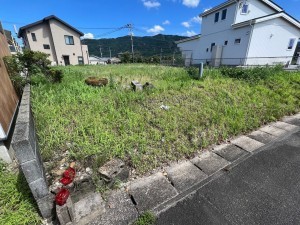 宮崎市田野町南原、土地の画像です