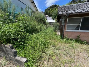 宮崎市清武町今泉、土地の画像です