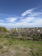 宮崎市本郷、土地の画像です