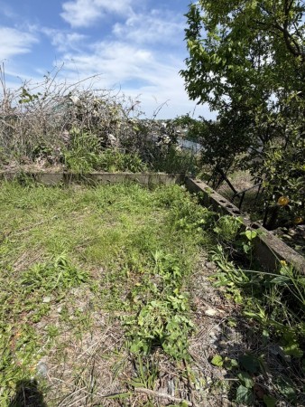 宮崎市本郷、土地の画像です