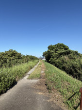宮崎市熊野、中古一戸建ての画像です
