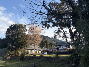 宮崎市田野町甲、土地の画像です