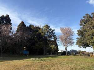 宮崎市田野町甲、土地の画像です