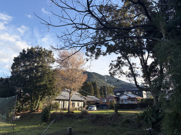 宮崎市田野町甲、土地の画像です