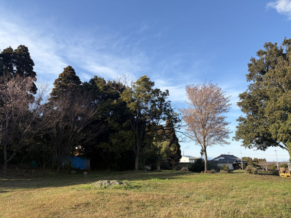 宮崎市田野町甲、土地の画像です