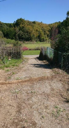 宮崎市佐土原町東上那珂、土地の画像です