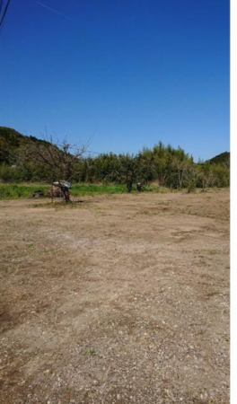 宮崎市佐土原町東上那珂、土地の画像です