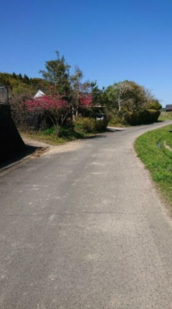 宮崎市佐土原町東上那珂、土地の画像です