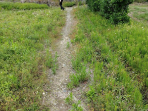 宮崎市東大淀、土地の画像です