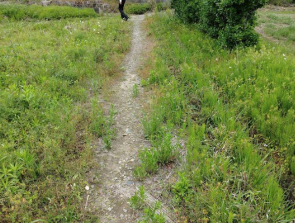 宮崎市東大淀、土地の画像です