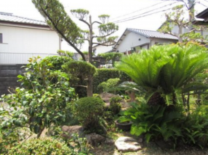 宮崎市、中古一戸建ての画像です