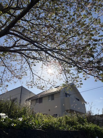 宮崎市、土地の画像です