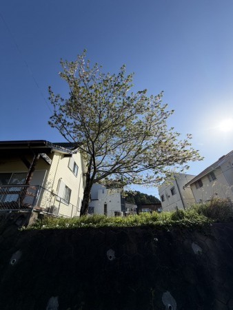 宮崎市、土地の画像です