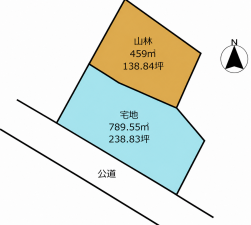 宮崎市金崎、土地の間取り画像です