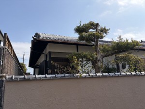 宮崎市江南、土地の画像です