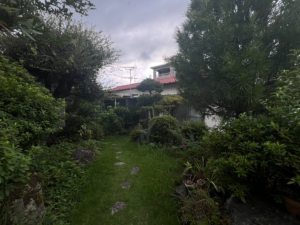 宮崎市下北方町、土地の画像です