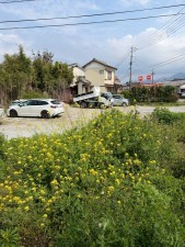 宮崎市田野町乙、土地の画像です