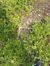 宮崎市田野町乙、土地の画像です