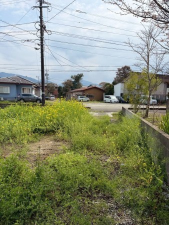 宮崎市田野町乙、土地の画像です