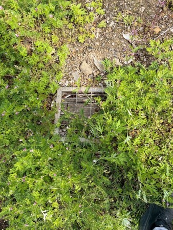 宮崎市田野町乙、土地の画像です