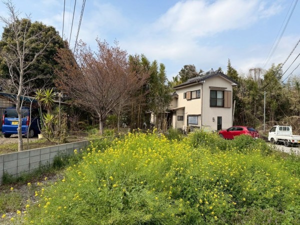 宮崎市田野町乙、土地の画像です