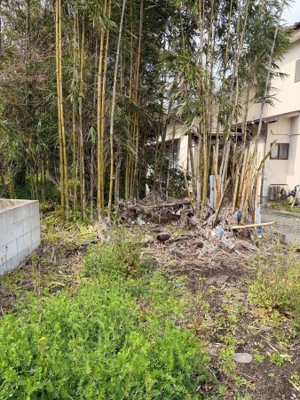 宮崎市田野町乙、土地の画像です