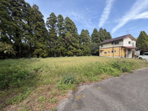 宮崎市、土地の画像です